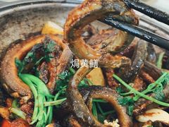 -台山第一家兴华黄鳝饭·黄鳝婆(开平店)