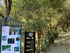 -宁波五龙潭景区