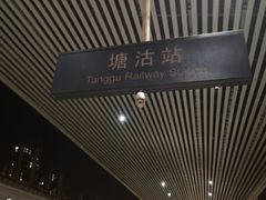 -塘沽站