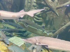 -梦幻海洋王国(吾悦广场张家港店)