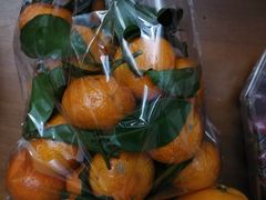 -鲜丰水果(九洲新世界花苑店)