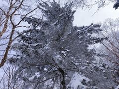 -华山风景名胜区
