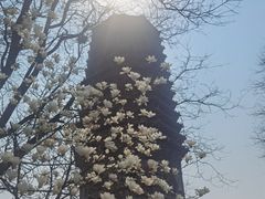 -玲珑塔公园