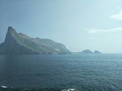 -长岛万鸟岛