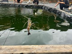 -DGE季风钓虾营地·团建·聚会