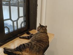 -猫的天空之城概念书店(杭州南宋御街店)