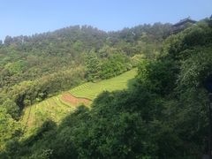 -敬亭山风景名胜区