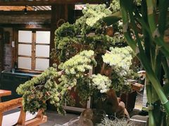 -丹江渔村(首都机场店)