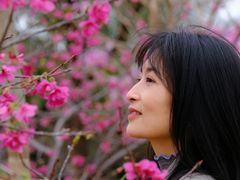 -天适樱花悠乐园