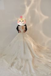 -花漾摄影优选工作室(东莞原创作品店)