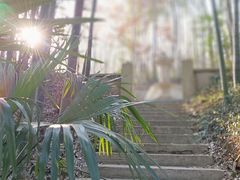 -南山风景名胜区