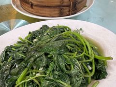 -西木兔(大圆祥店)