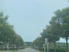 -清西陵