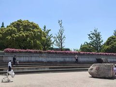 -上海滨江森林公园