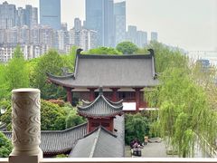 -杜甫江阁