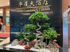 -华厦大酒店·桃源西餐厅·自助餐