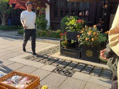 -苏城小院·园林精致苏州菜(斜塘老街店)