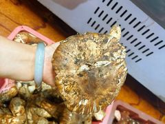 -南渝食府.墨脱石锅松茸鸡