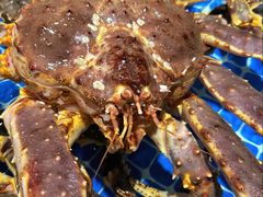 -粤凤佬