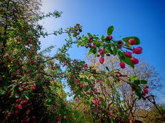 -元大都城垣遗址公园