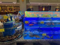 -新海渔港·胶东海鲜家常菜·家宴(奥体中心店)