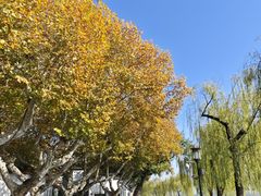 -楼外楼(西湖景区孤山路店)