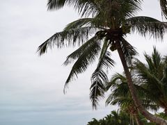 -三亚海棠湾万丽度假酒店