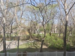 -皇家月府月子中心(沈阳店)