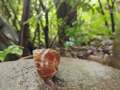 -水底山庄园温泉