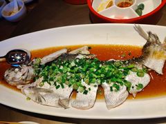 茶油翡翠翘嘴鲌-清水亭湖北菜(大屯DT51店)