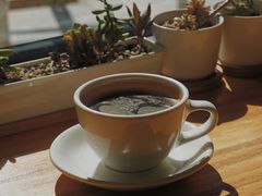 -Cafe Villa