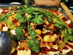 -重庆火锅水库鱼庄(南油店)