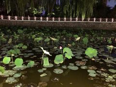 -迎泽公园