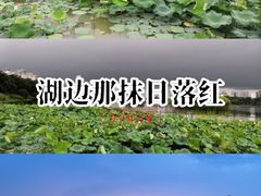 -南宁南湖公园