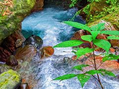 -西岭雪山大飞水景区