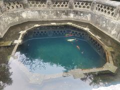 -习家池