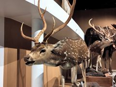 -陕西自然博物馆