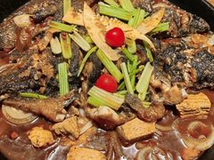 -老板恋上鱼(恒隆广场店)