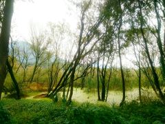 -西湖风景区-江洋畈生态公园