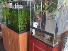 -繁花足道(梅江店)