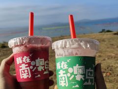 -南澳岛打卡果汁冰公司