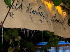 -野草莓自由市场