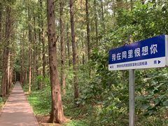 -同里国家湿地公园