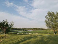 -东郊湿地公园