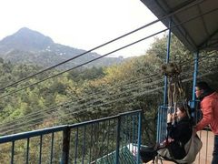 -梦幻奥陶纪景区