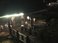 -明月山天沐温泉度假村