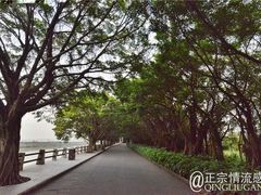 -大湾区中央湿地公园