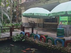 -呀诺达热带雨林