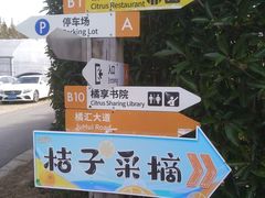 -前小桔亲子创意农场·草莓采摘·露营烧烤