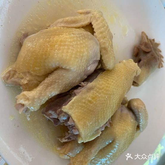 广海鸡